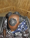 Birima Makhourédia Demba Khollé Fall